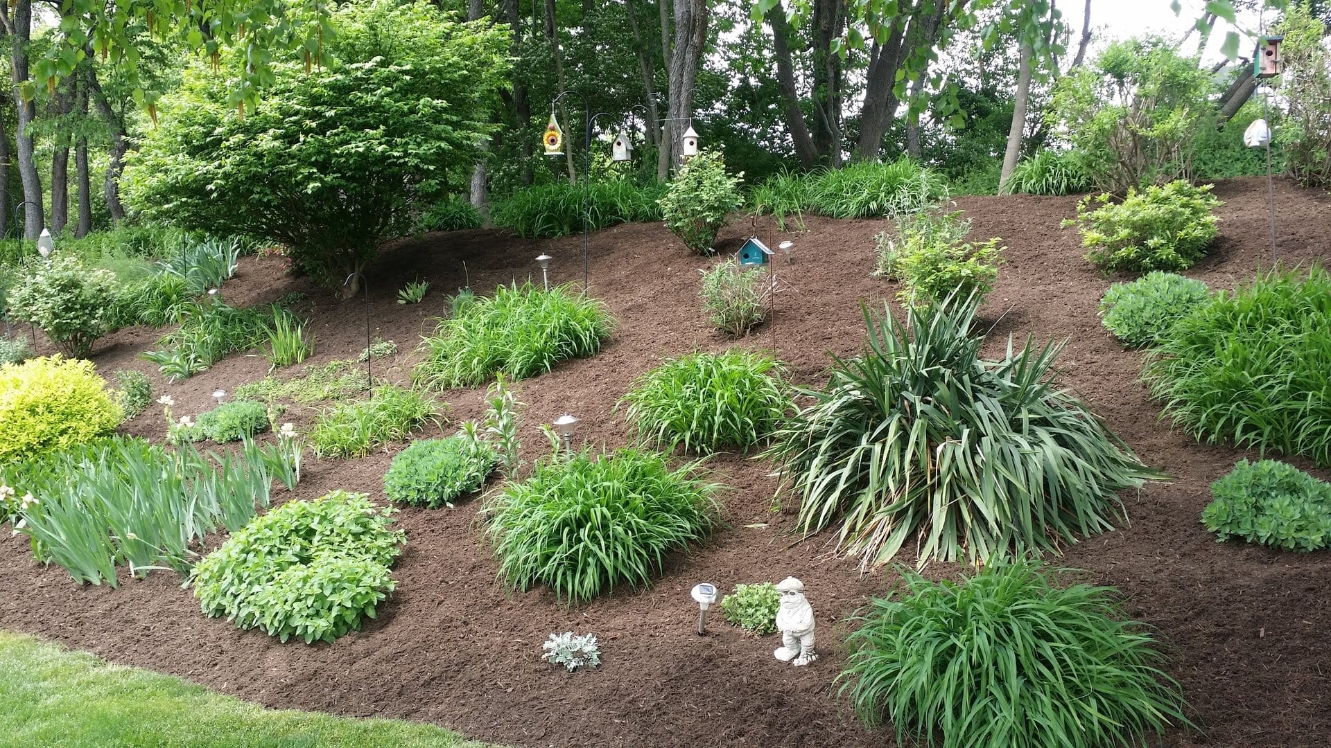 Outdoor Splendor - A landscaped garden bed with fresh dark mulch, featuring various green plants, solar lights, birdhouses on poles, a garden gnome statue, and tall trees in the background.