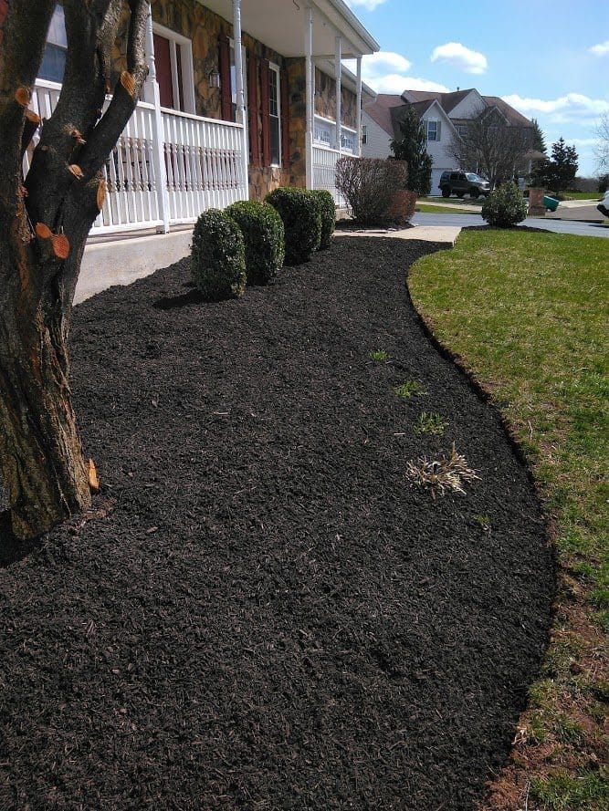 Outdoor Splendor - Freshly mulched garden bed with neatly trimmed bushes in front of a house with a white porch railing; grass lawn borders the dark mulch, and a tree is visible on the left side.