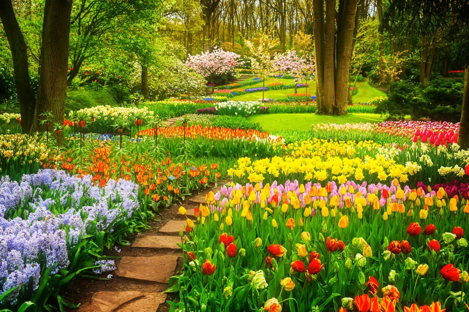 Outdoor Splendor - A vibrant garden with colorful tulips, lilies, and hyacinths in full bloom showcases expert landscape design; a stone path winds through flower beds beneath tall trees, with lush green grass and blooming bushes in the background.