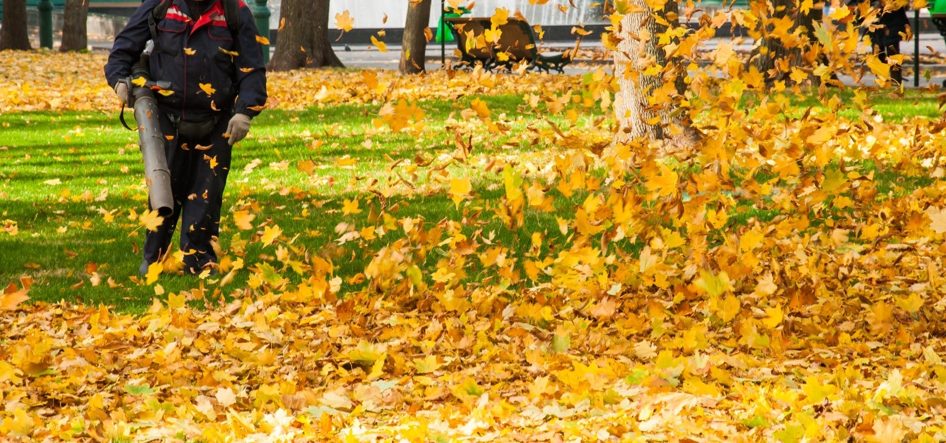 Outdoor Splendor - A person uses a leaf blower for leaf cleanup, moving a large pile of yellow and orange autumn leaves across a grassy park area, with trees and a bench visible in the background.