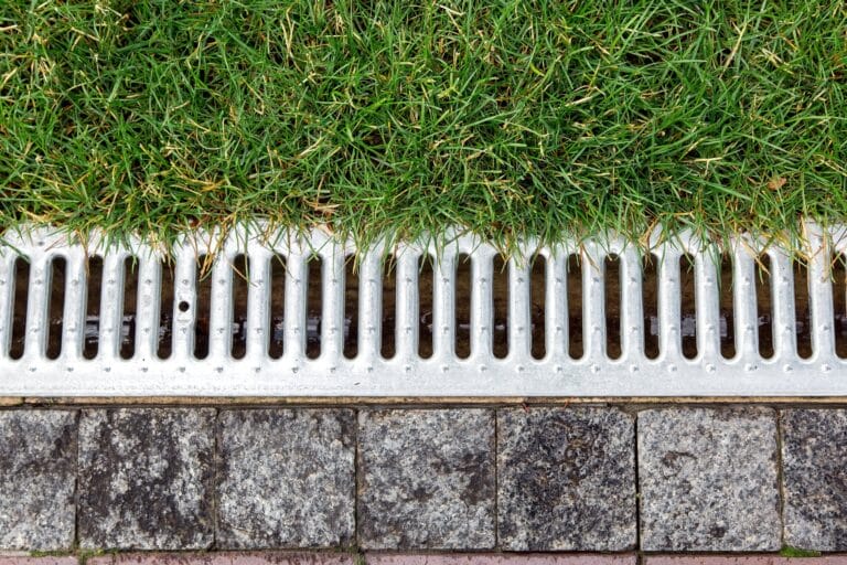 Outdoor Splendor - Close-up view of a metal drainage grate between a patch of green grass and a row of gray stone pavement blocks.