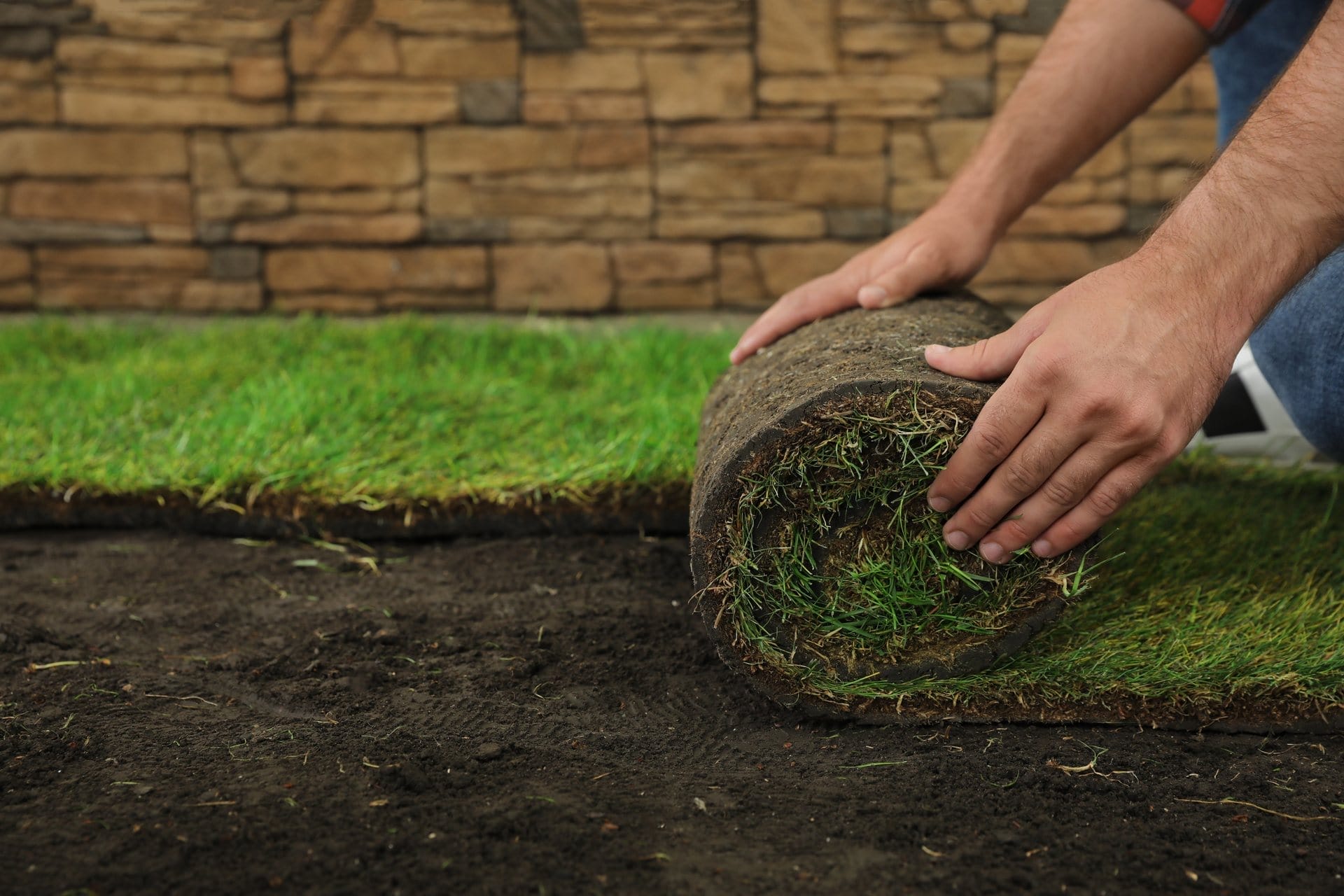 Outdoor Splendor - A person’s hands unrolling a piece of sod onto bare soil in a garden, illustrating the process of sod installation, with a stone wall in the background.