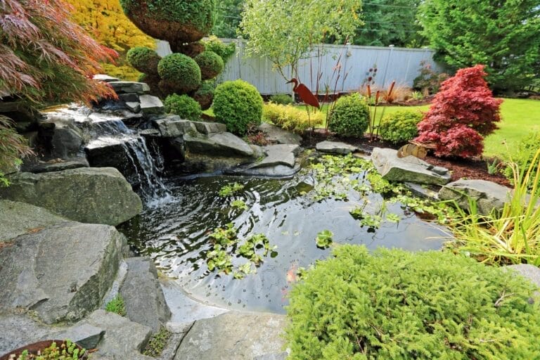 Outdoor Splendor - A landscaped garden pond with clear water, water lilies, a small waterfall over rocks, and neatly trimmed bushes and trees, surrounded by green grass and a wooden fence in the background.