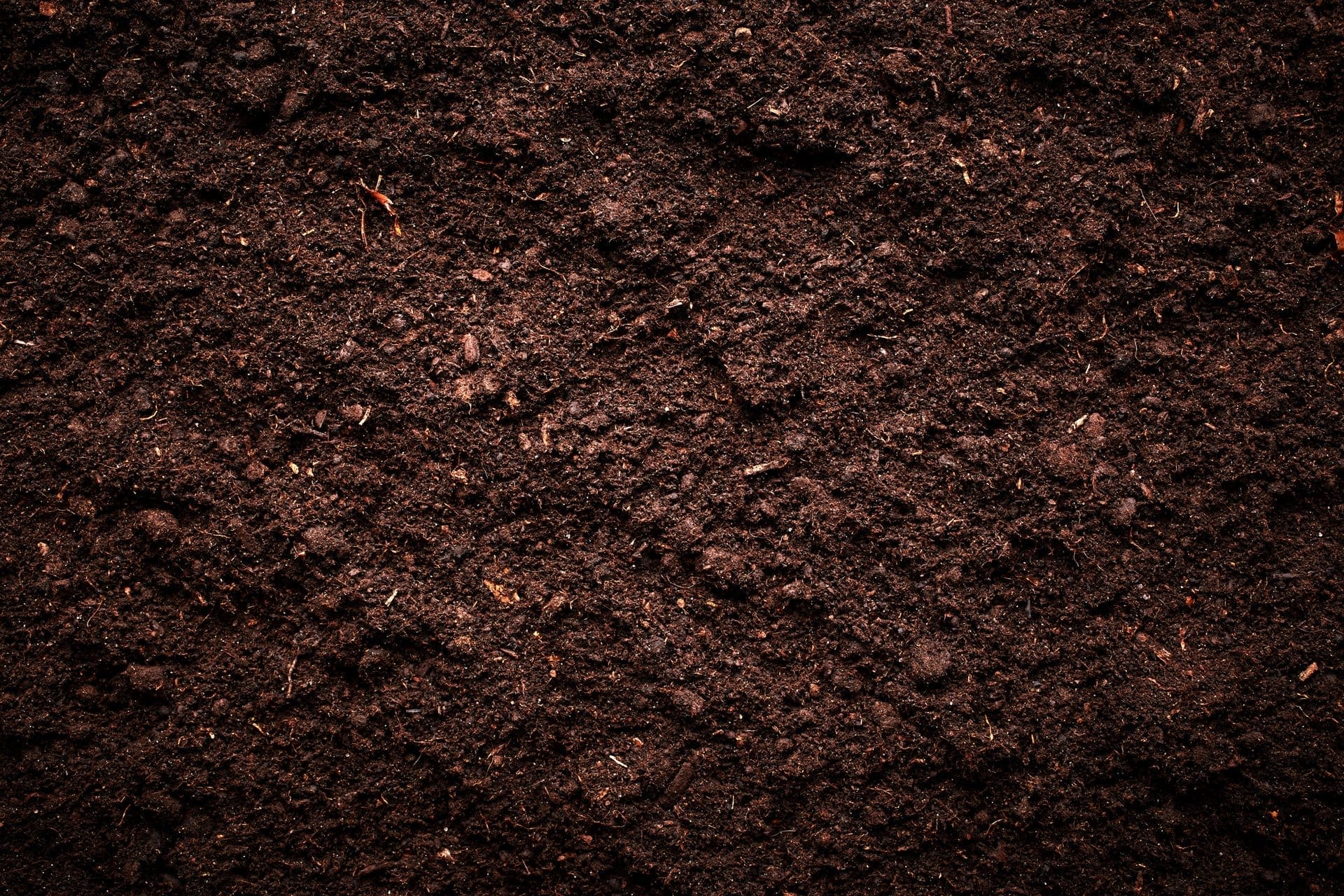 Outdoor Splendor - Close-up view of dark, rich soil with a rough, uneven texture, ideal for planting or gardening. The moist surface highlights organic matter—perfect conditions for effective lawn fertilizing or weed control.