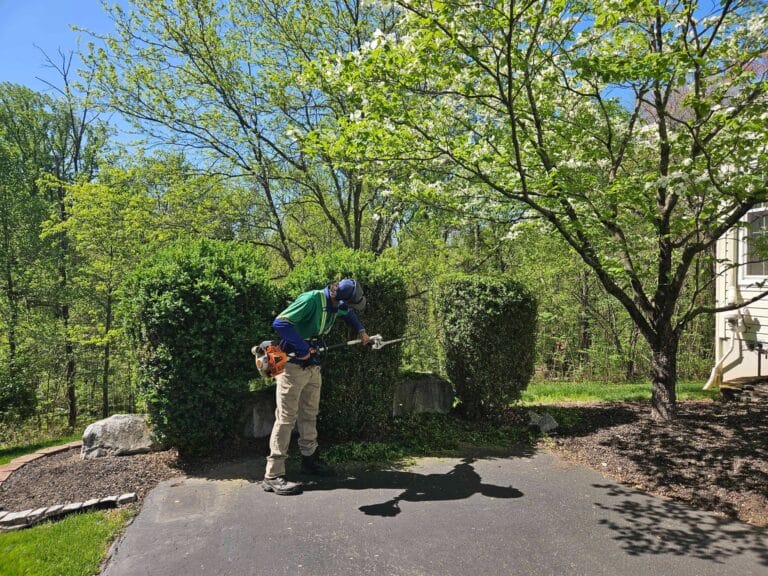 Outdoor Splendor - A person wearing a green shirt, beige pants, and a blue hat trims a hedge with an electric hedge trimmer on a sunny day, surrounded by green trees and bushes in a landscaped yard.