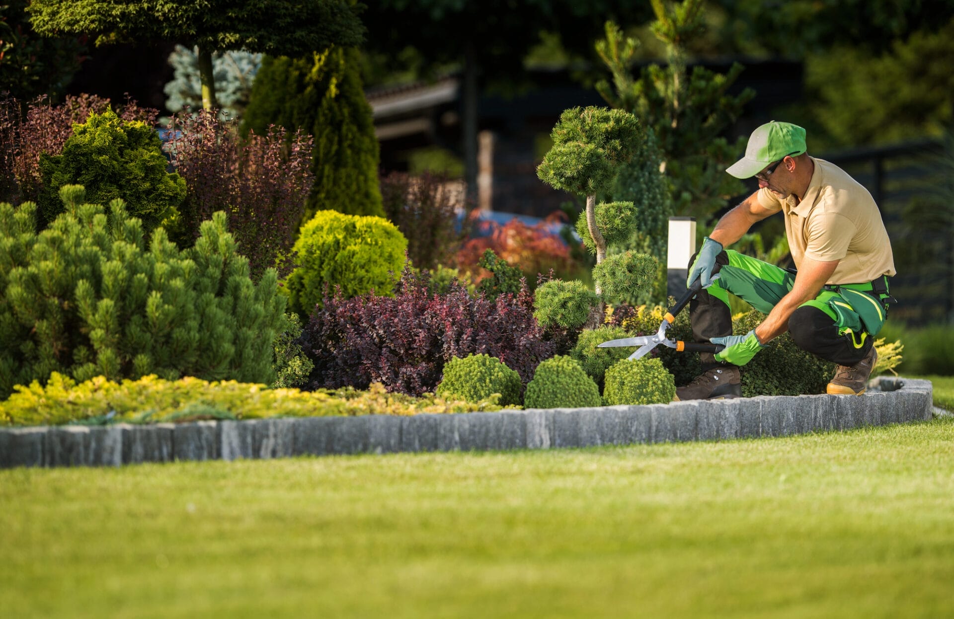 Outdoor Splendor - A gardener wearing green overalls and a cap trims decorative shrubs in a landscaped garden with neatly arranged bushes, colorful plants, and a lawn bordered by stone edging.