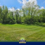 Outdoor Splendor - A lush, freshly mowed lawn with visible mowing lines sits in front of a line of leafy green trees under a blue sky with scattered clouds. At the bottom is an "Outdoor Splendor" landscaping logo.