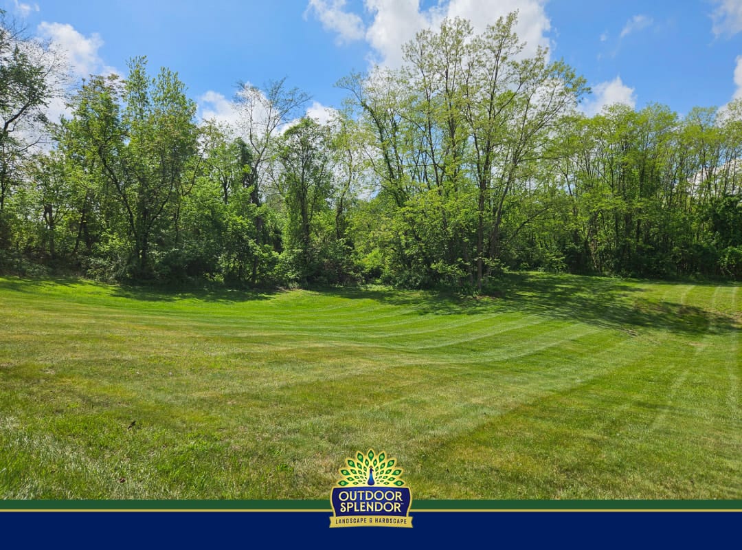 Outdoor Splendor - A lush, freshly mowed lawn with visible mowing lines sits in front of a line of leafy green trees under a blue sky with scattered clouds. At the bottom is an "Outdoor Splendor" landscaping logo.