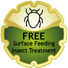 Outdoor Splendor - Gold-edged badge with a simple black insect icon and text: "FREE Surface Feeding Insect Treatment" on a green and yellow background—perfect for comprehensive Lawn Care or paired with Weed Control services.