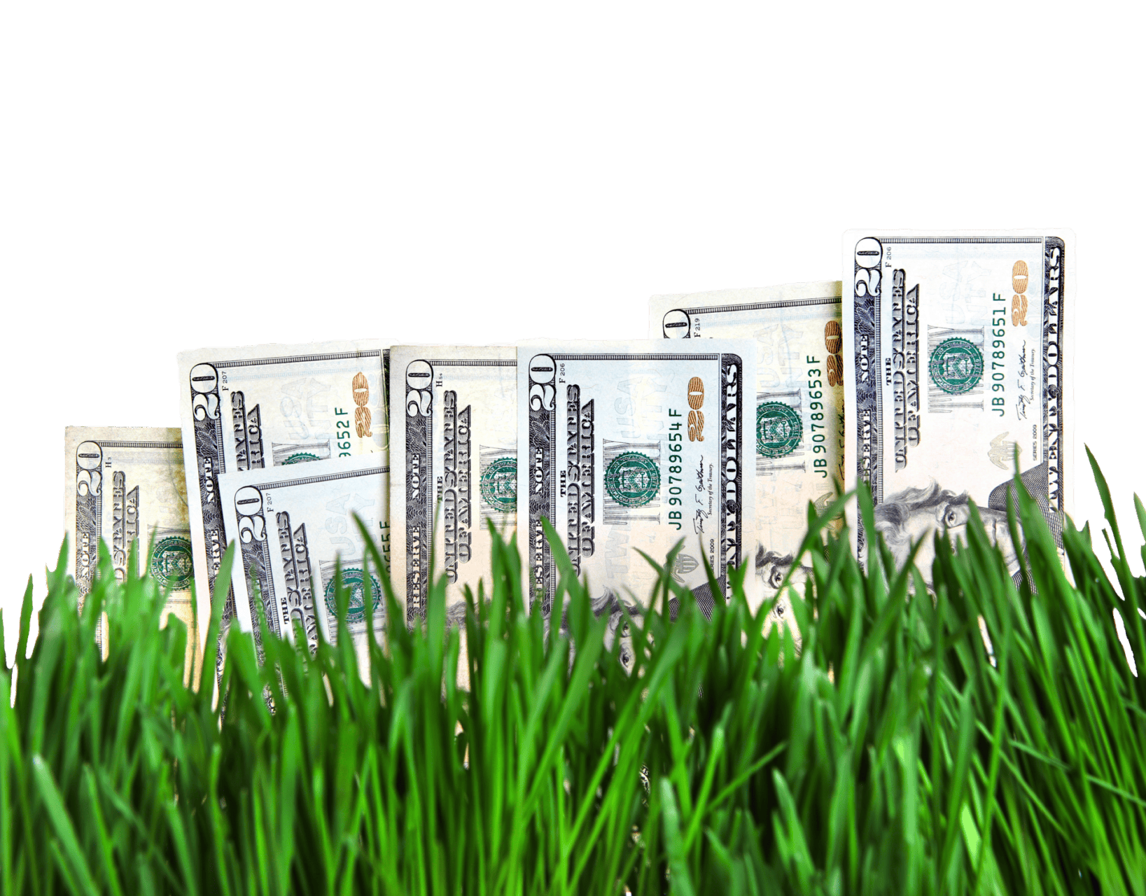 Outdoor Splendor - Several U.S. twenty and one hundred dollar bills stand upright among green grass, symbolizing the concept of money growing or financial growth. The background is plain white.