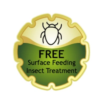 Outdoor Splendor - A gold and green badge with an insect icon at the top and the text "FREE Surface Feeding Insect Treatment" in the center, perfect for enhancing your lawn care routine.