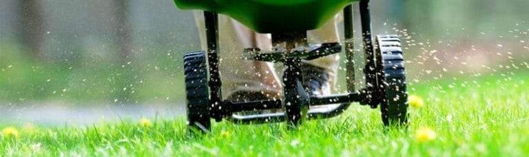 Outdoor Splendor - A close-up view of a lawn spreader dispensing fertilizer or seeds onto green grass, with particles visibly scattering across the lawn.