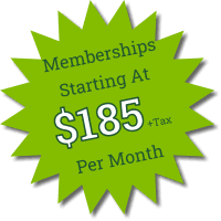 Outdoor Splendor - Green starburst graphic with text: "Lawn care memberships starting at $185 + tax per month," perfect for hassle-free lawn mowing and maintenance.