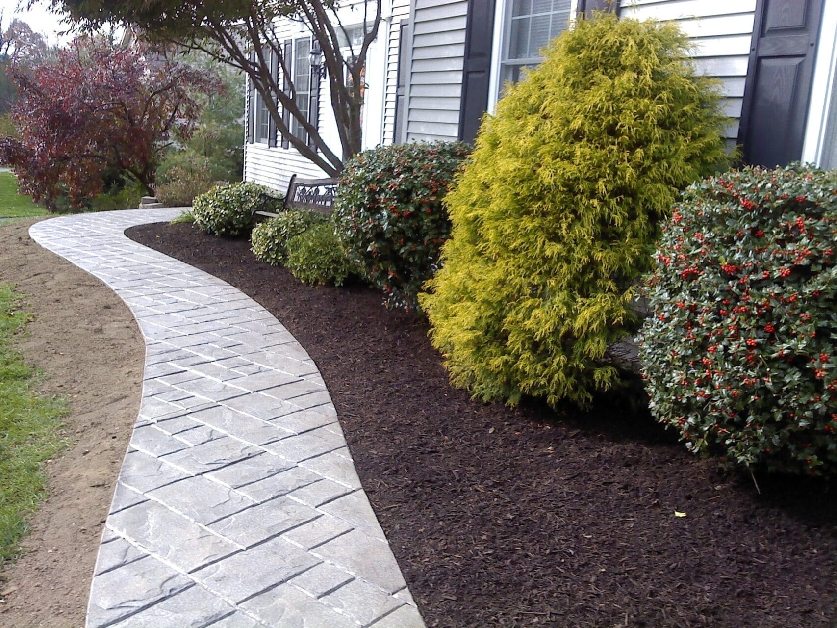 Outdoor Splendor - A stone walkway curves beside a house, bordered by mulch, neatly trimmed bushes with red berries, a large yellow-green shrub, and a bench under a tree.