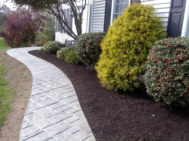 Outdoor Splendor - A stone walkway curves beside a house, bordered by mulch, neatly trimmed bushes with red berries, a large yellow-green shrub, and a bench under a tree.
