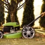 Outdoor Splendor - A green lawn mower sits on grass covered with fallen autumn leaves under a tree, with tall evergreen shrubs and a fence in the background.