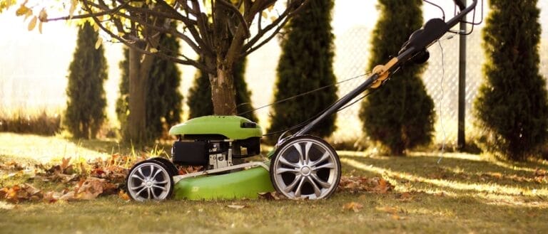Outdoor Splendor - A green lawn mower sits on grass covered with fallen autumn leaves under a tree, with tall evergreen shrubs and a fence in the background.